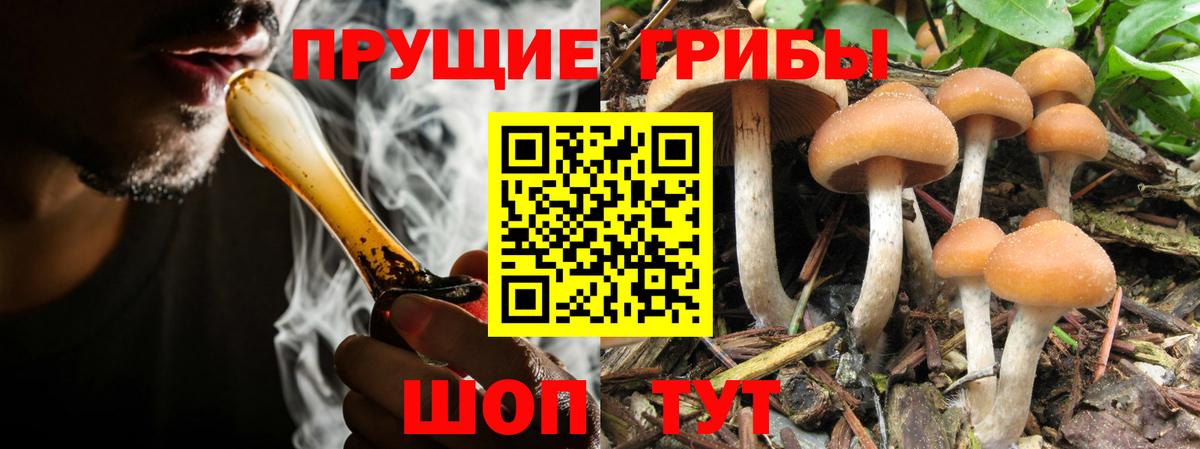 Галлюциногенные грибы ЛСД Сибай